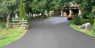 Best Custom Driveway Design  in Primera, TX